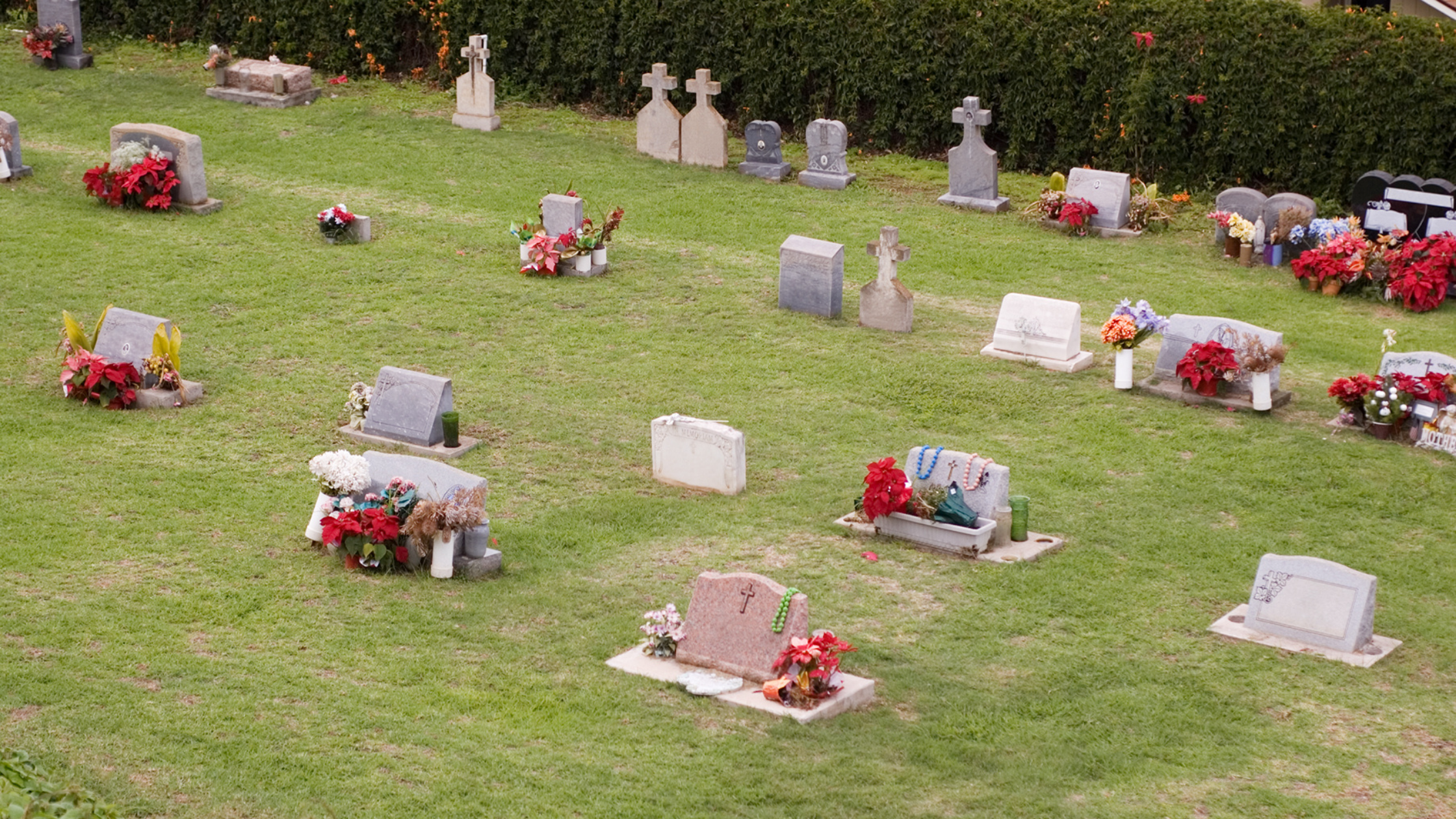 Five Things To Consider When Choosing A Cemetery