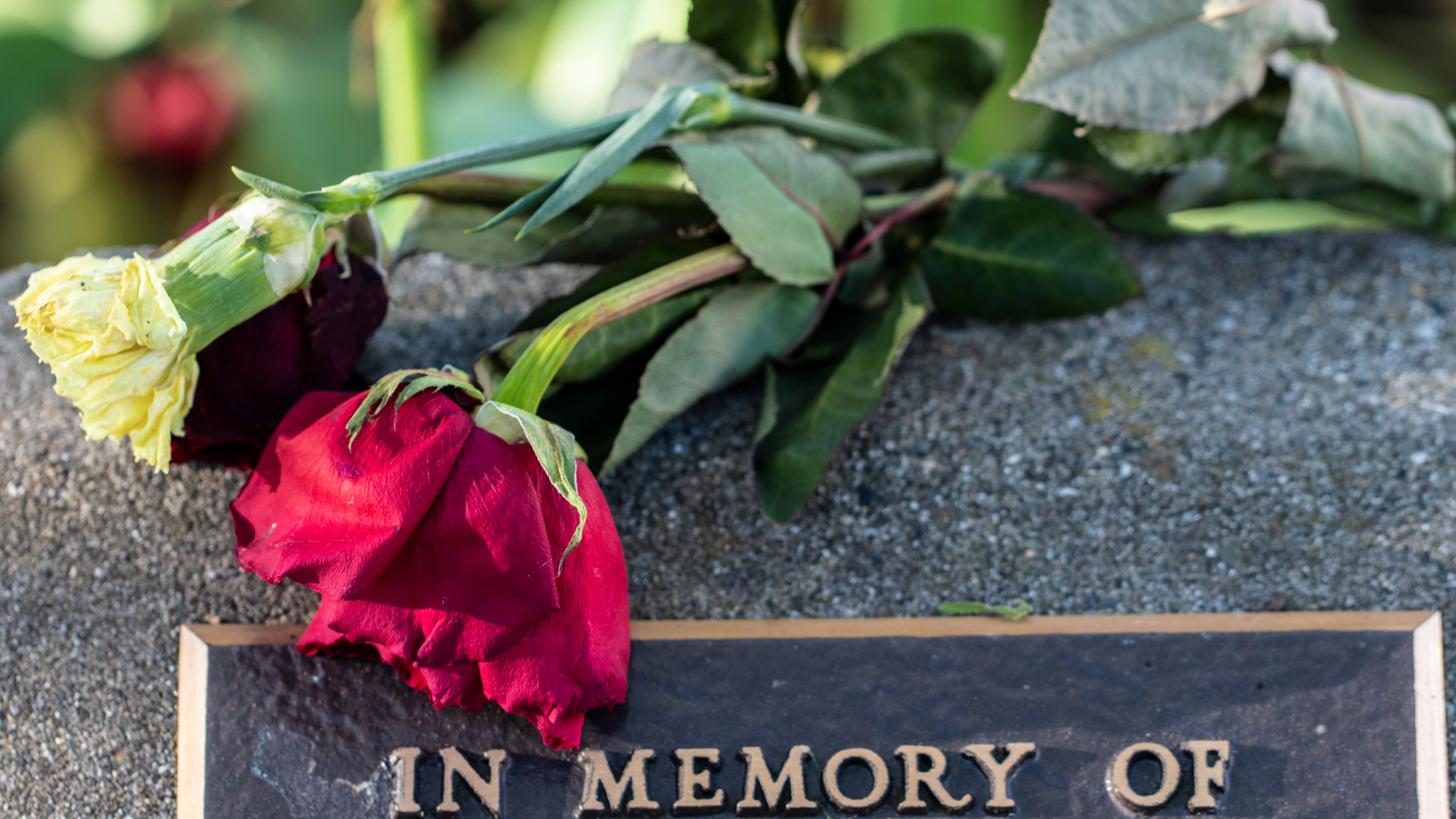 Five Distinct Differences Between Traditional Burial And Cremation Service